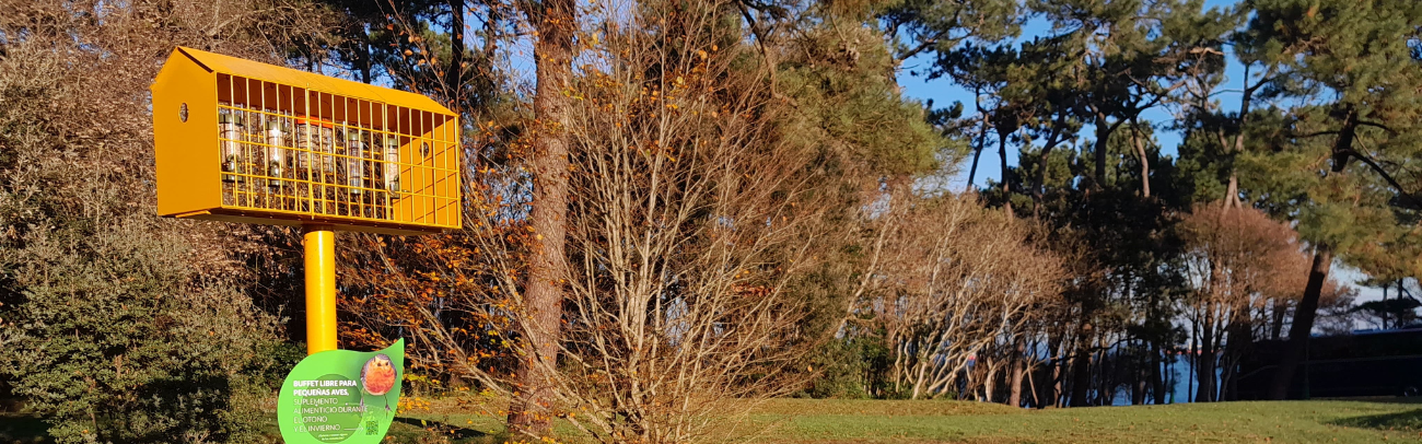 foto-peninsula-magdalena