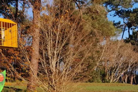 foto-peninsula-magdalena